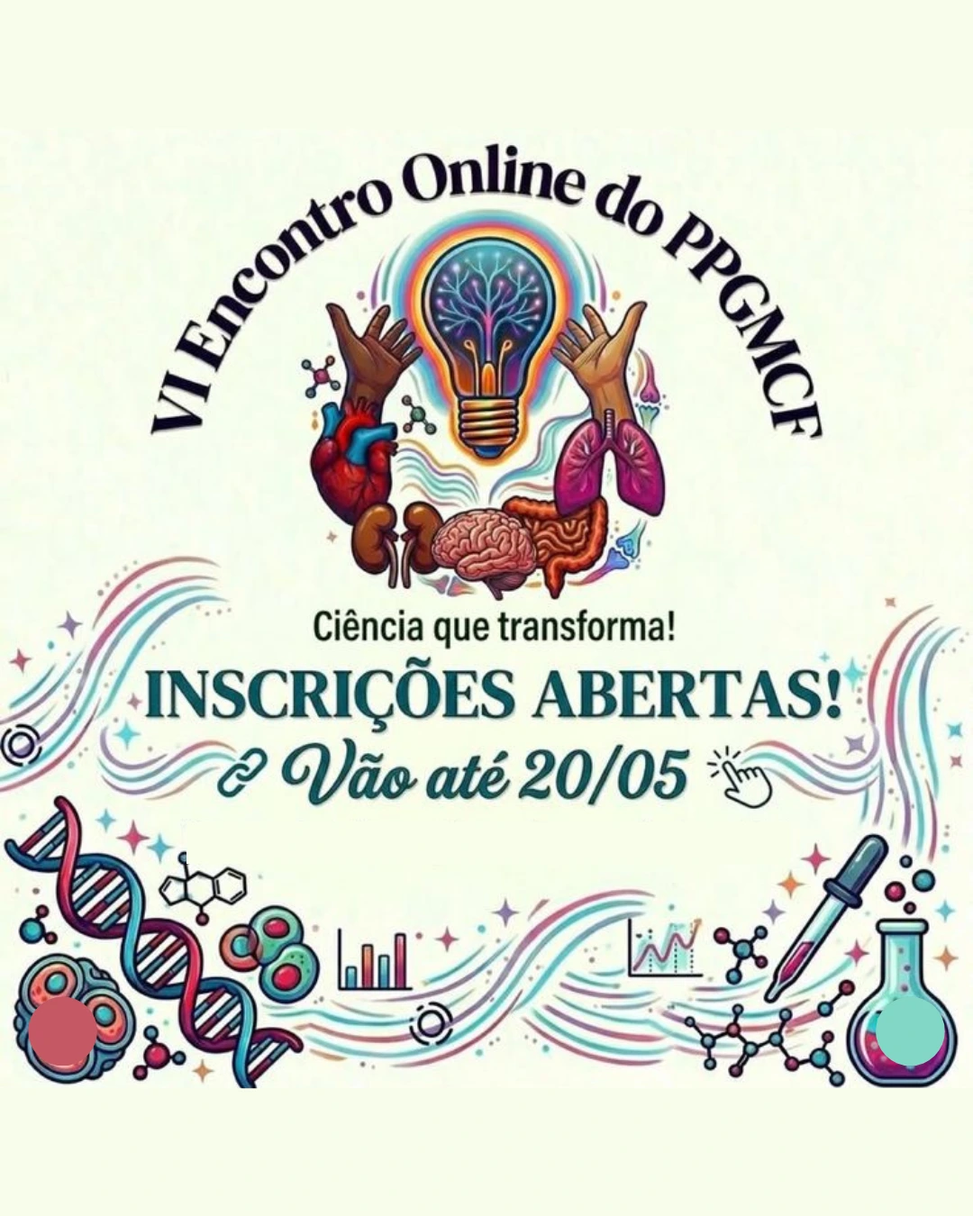 VI Encontro Online do PPGMCF